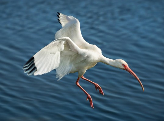 b01fdf23cec913f1284c5e3380680373_large