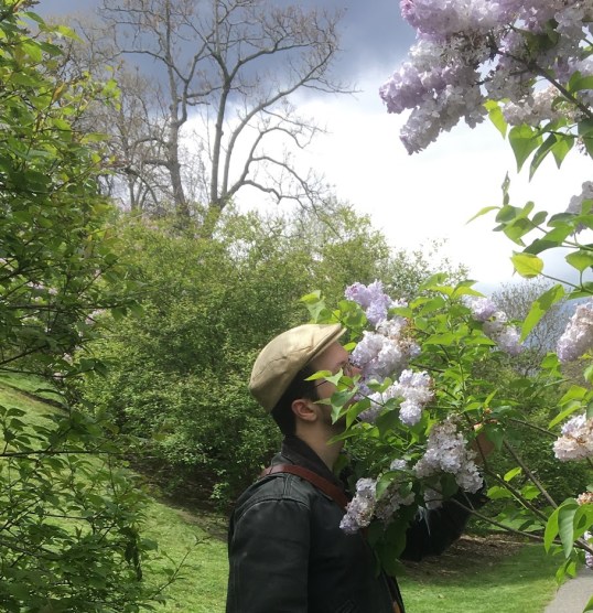 2017-05-10HenryLilacs